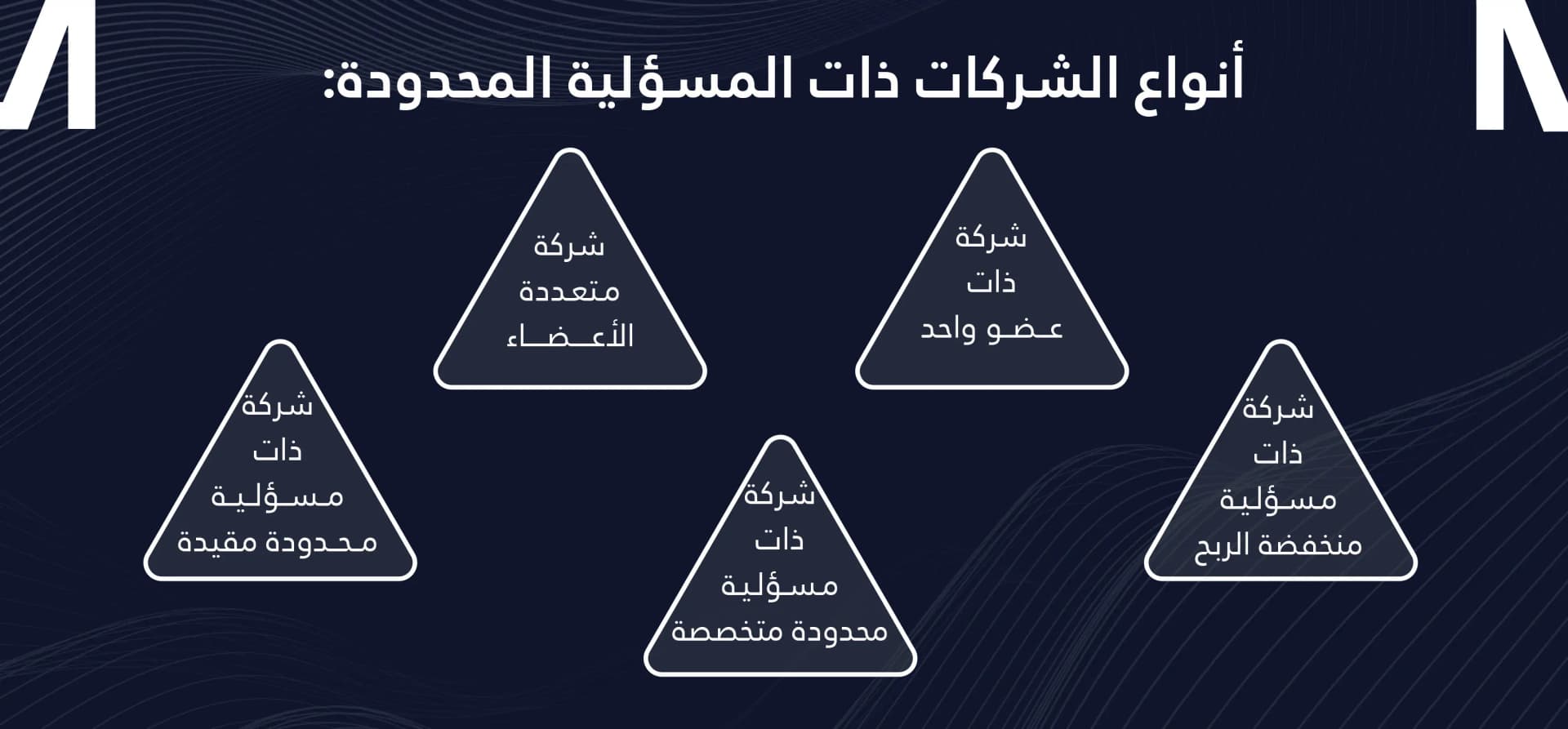أنواع الشركات ذات المسؤولية المحدودة