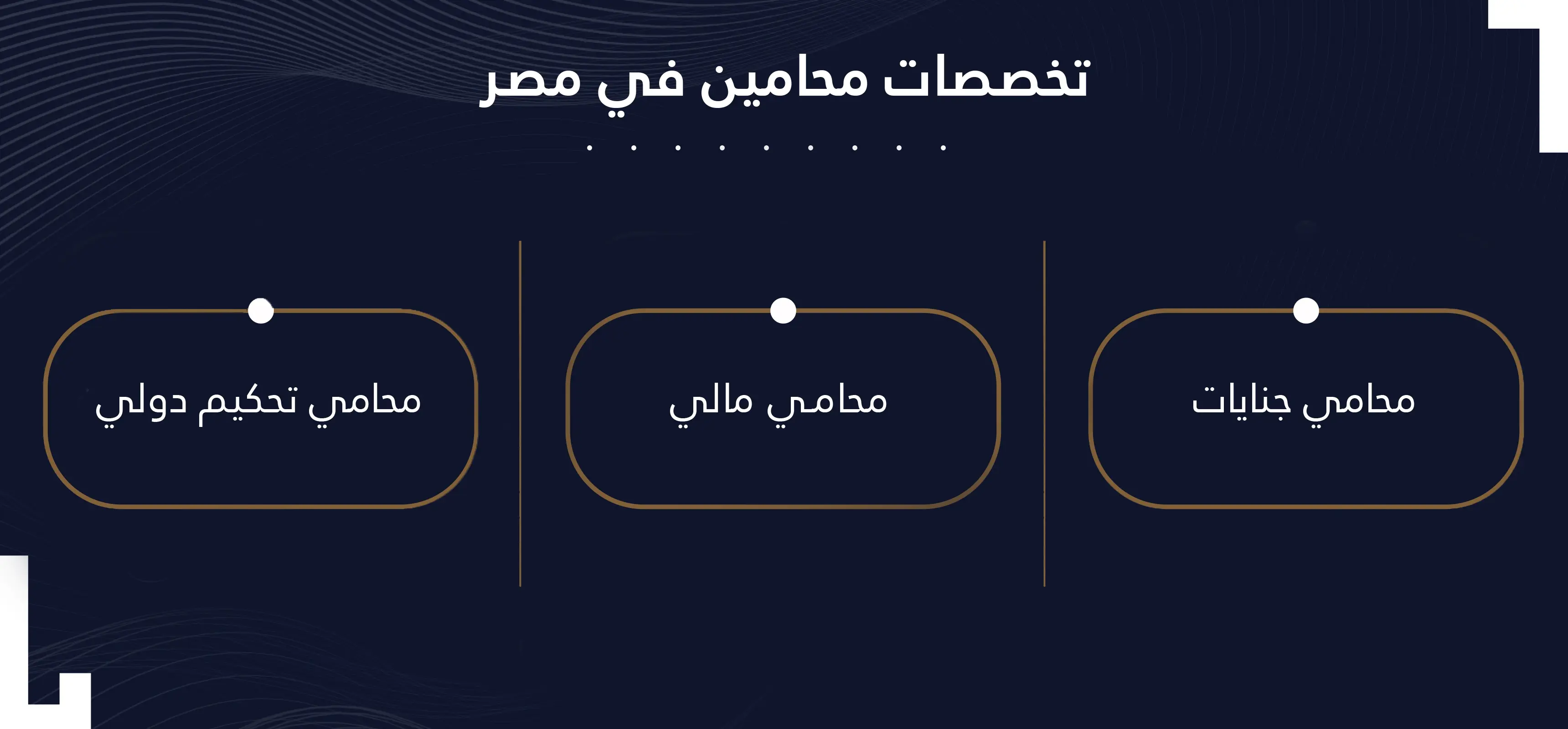 تخصصات المحامين في مصر