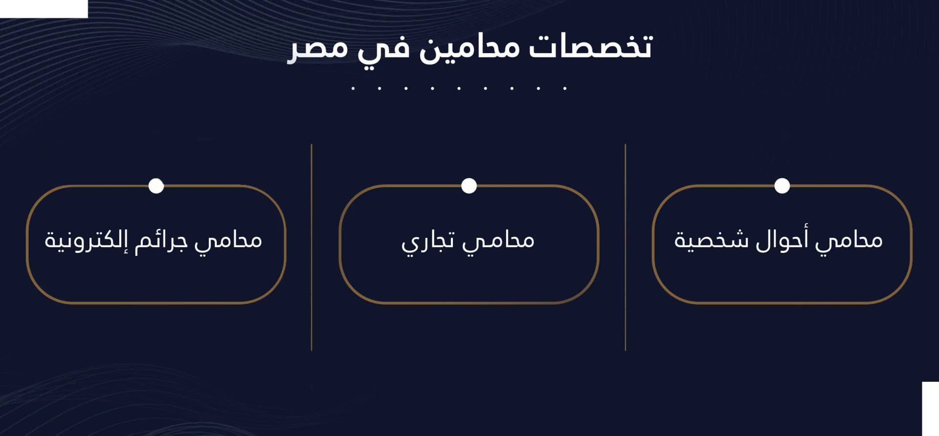 تخصصات محامين مصر