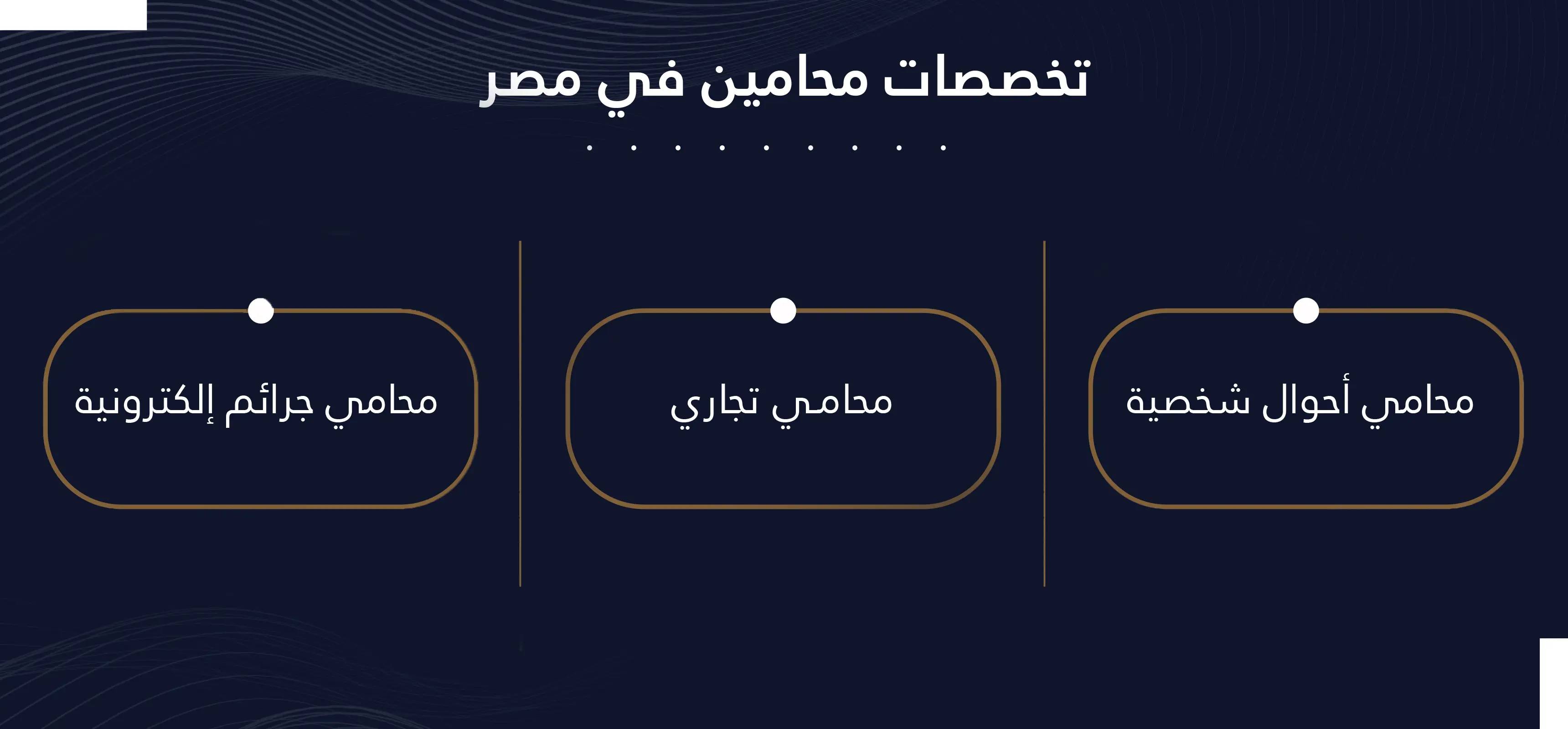 تخصصات محامين مصر