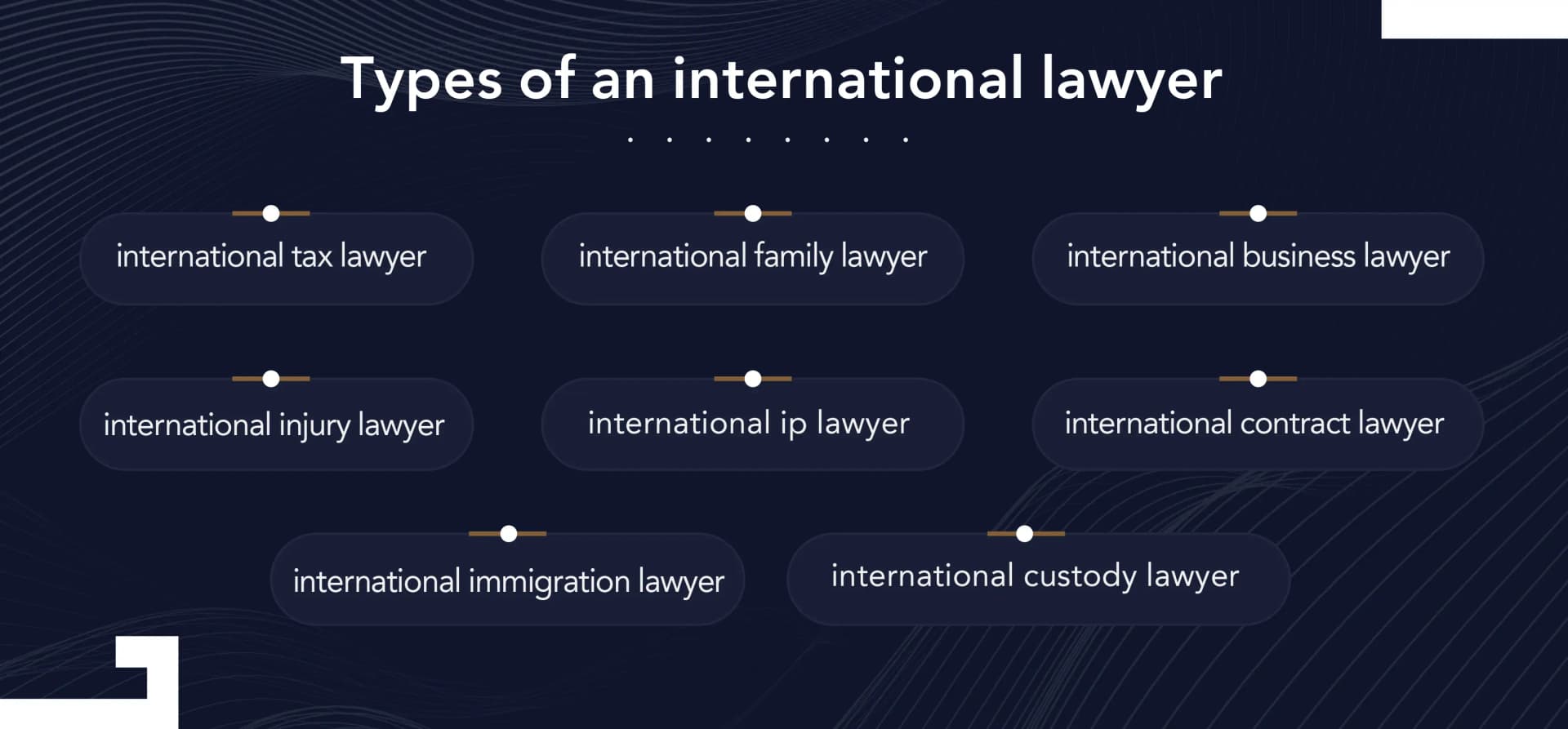 professional international lawyers