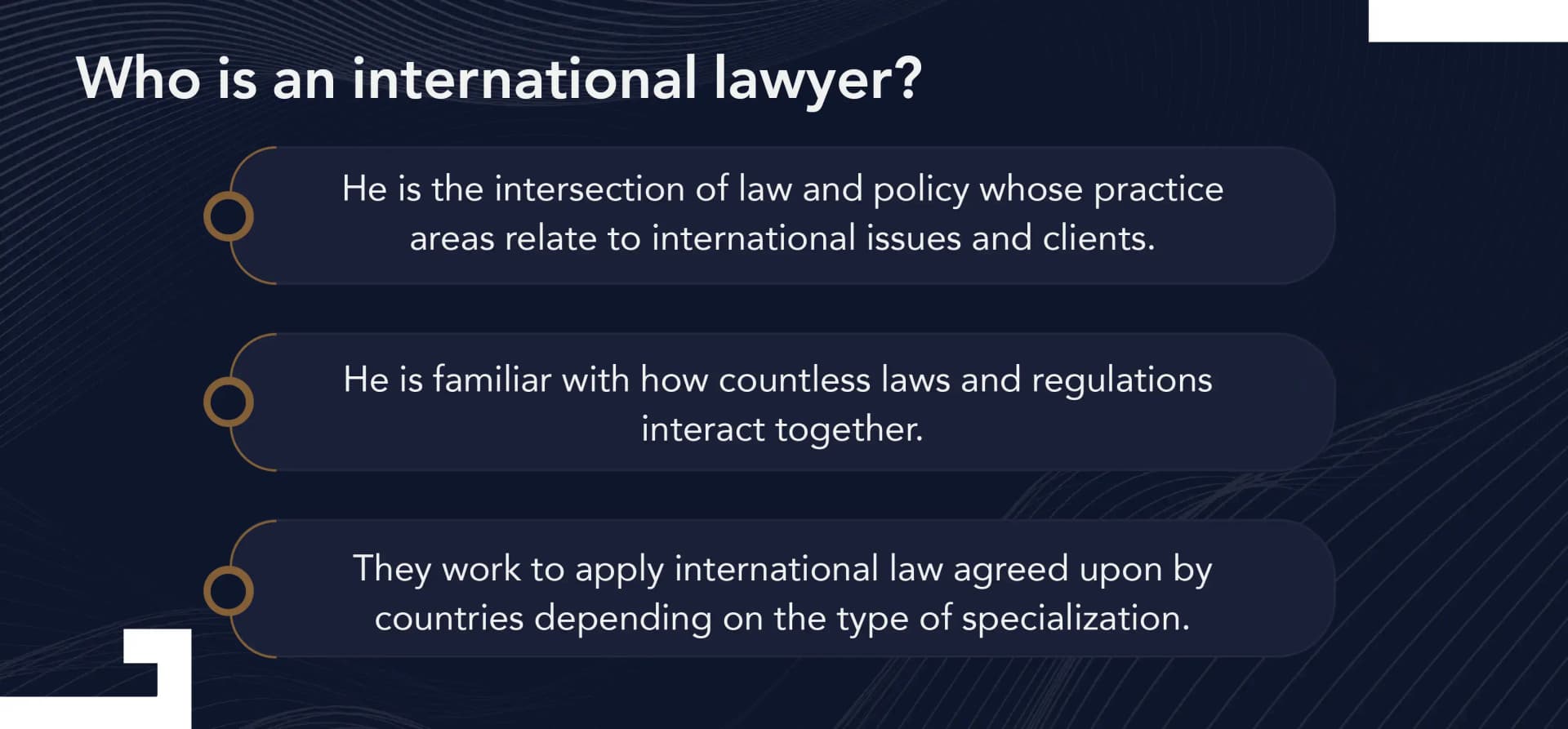 international lawyer