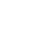 L Image